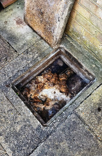 https://plumbersevillegrove.com.au/uploads/2025/06/blocked-drains-465055.jpg